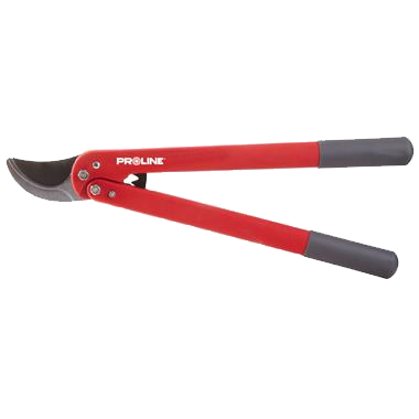Sekatory
